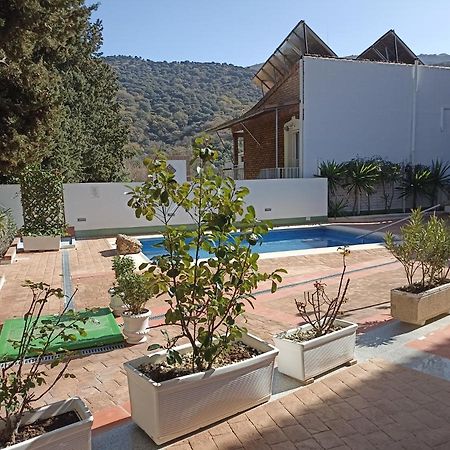 Apartamento Exclusivo - Maria 7 Benaoján Eksteriør billede